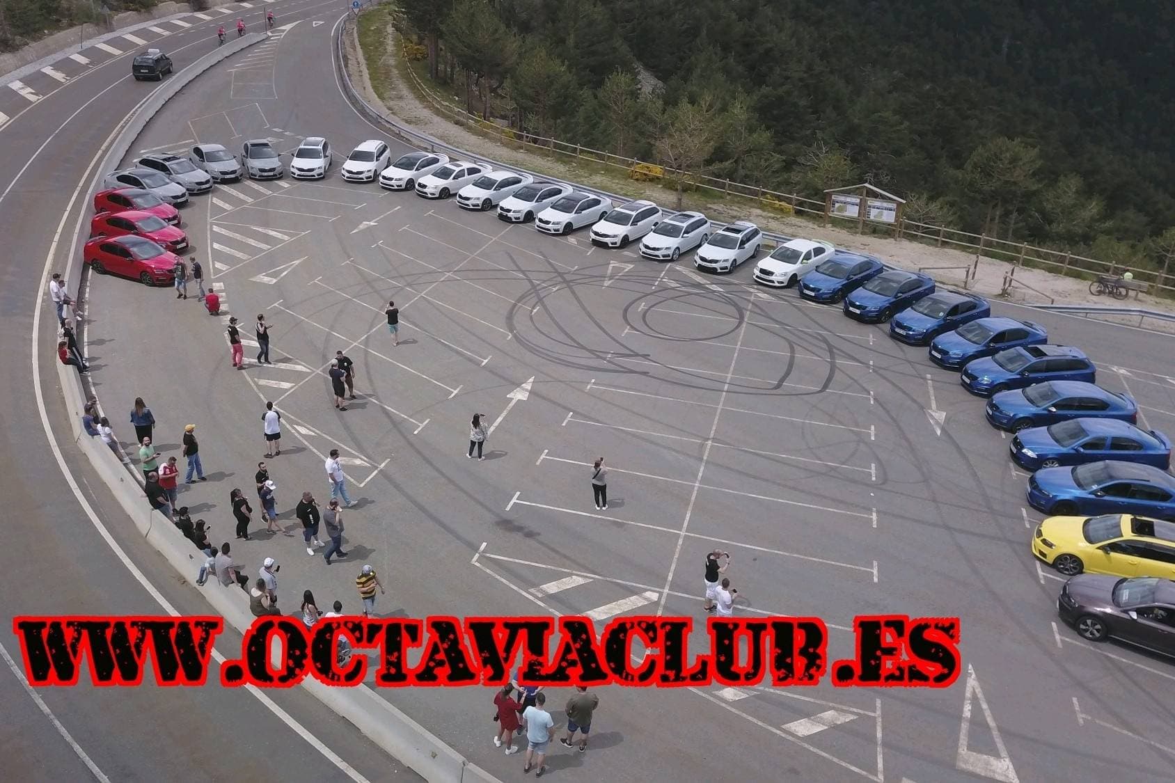 Club del Octavia y derivados de la marca